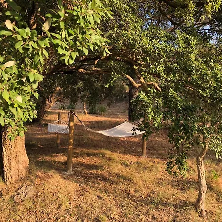 豪迈旅馆 - 大自然与海洋 *