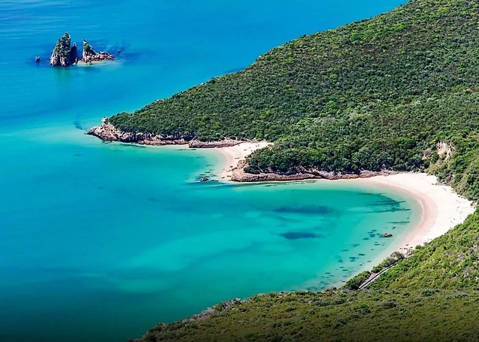 Halma - Nature&sea *