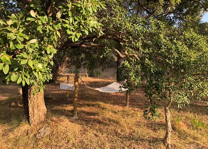 Halma - Nature & Sea *